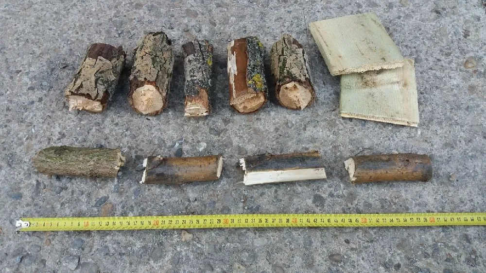 image_665494459ab46_R80es fa-max-1200x800.webp