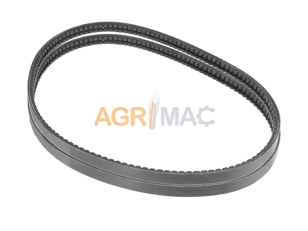 [AUTO-SKU-50679] 2 benzi dentate SGK