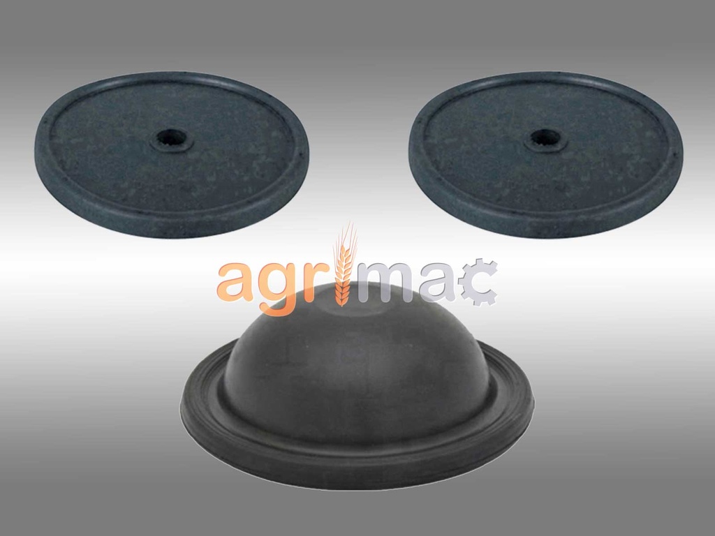 [AUTO-SKU-51094] Membrane de reparație pentru pompă Agroplast P120, 1 set